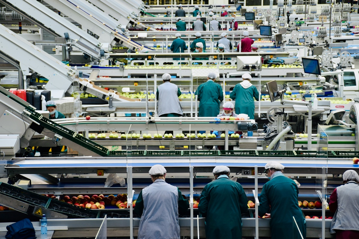 Food Manufacturing